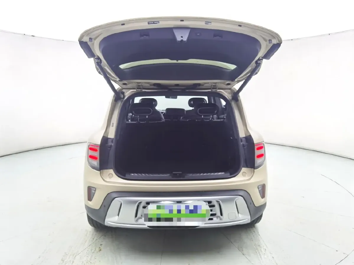 2024 Smart smart Elf 5 BEV 76KWH,autocango,china used car exporter,china ev exporter,chinese used car exporter,chinese used ev exporter