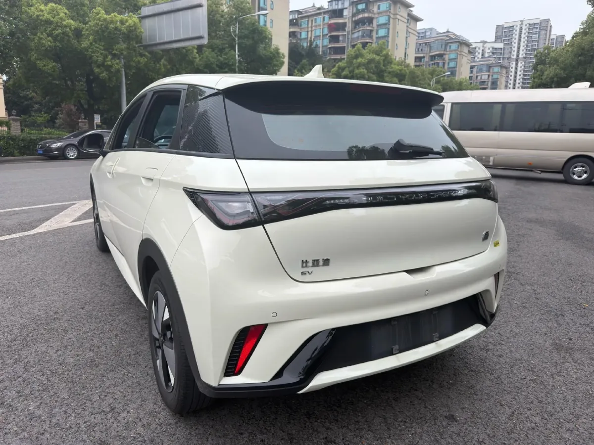 2023 BYD Dolphin BEV 44.928KWH,autocango,china used car exporter,china ev exporter,chinese used car exporter,chinese used ev exporter