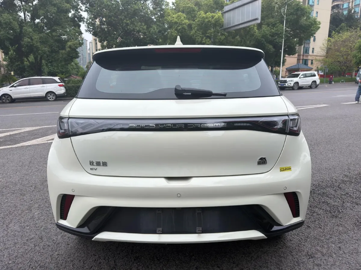 2023 BYD Dolphin BEV 44.928KWH,autocango,china used car exporter,china ev exporter,chinese used car exporter,chinese used ev exporter