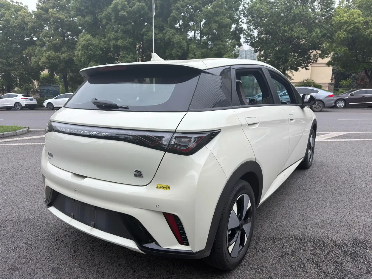 2023 BYD Dolphin BEV 44.928KWH,autocango,china used car exporter,china ev exporter,chinese used car exporter,chinese used ev exporter