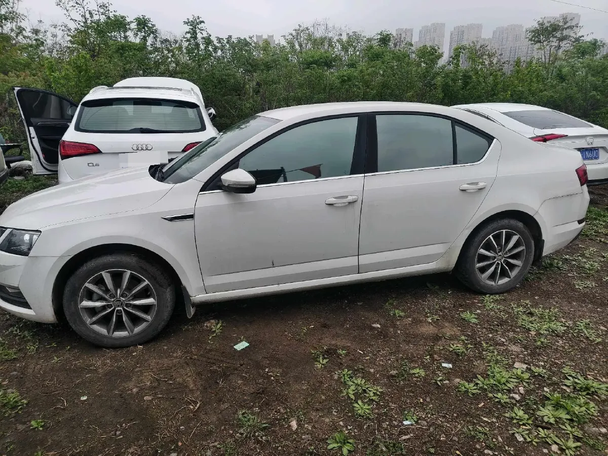 2019 Skoda Octavia 1.2T 116HP L4 7DCT,autocango,china used car exporter,china ev exporter,chinese used car exporter,chinese used ev exporter