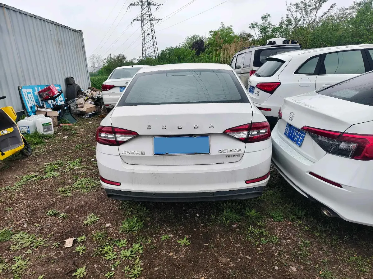 2019 Skoda Octavia 1.2T 116HP L4 7DCT,autocango,china used car exporter,china ev exporter,chinese used car exporter,chinese used ev exporter