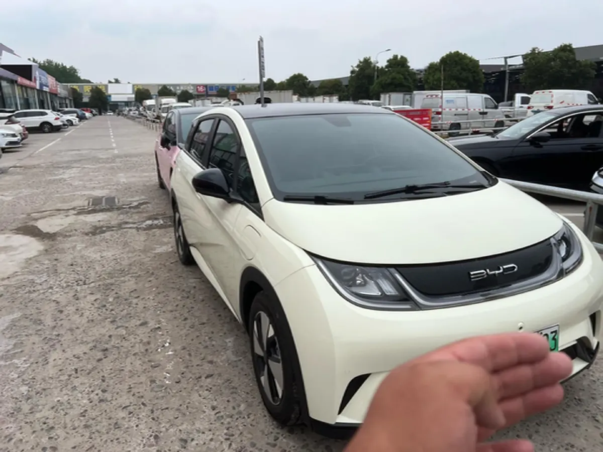 2023 BYD Dolphin BEV 44.928KWH,autocango,china used car exporter,china ev exporter,chinese used car exporter,chinese used ev exporter