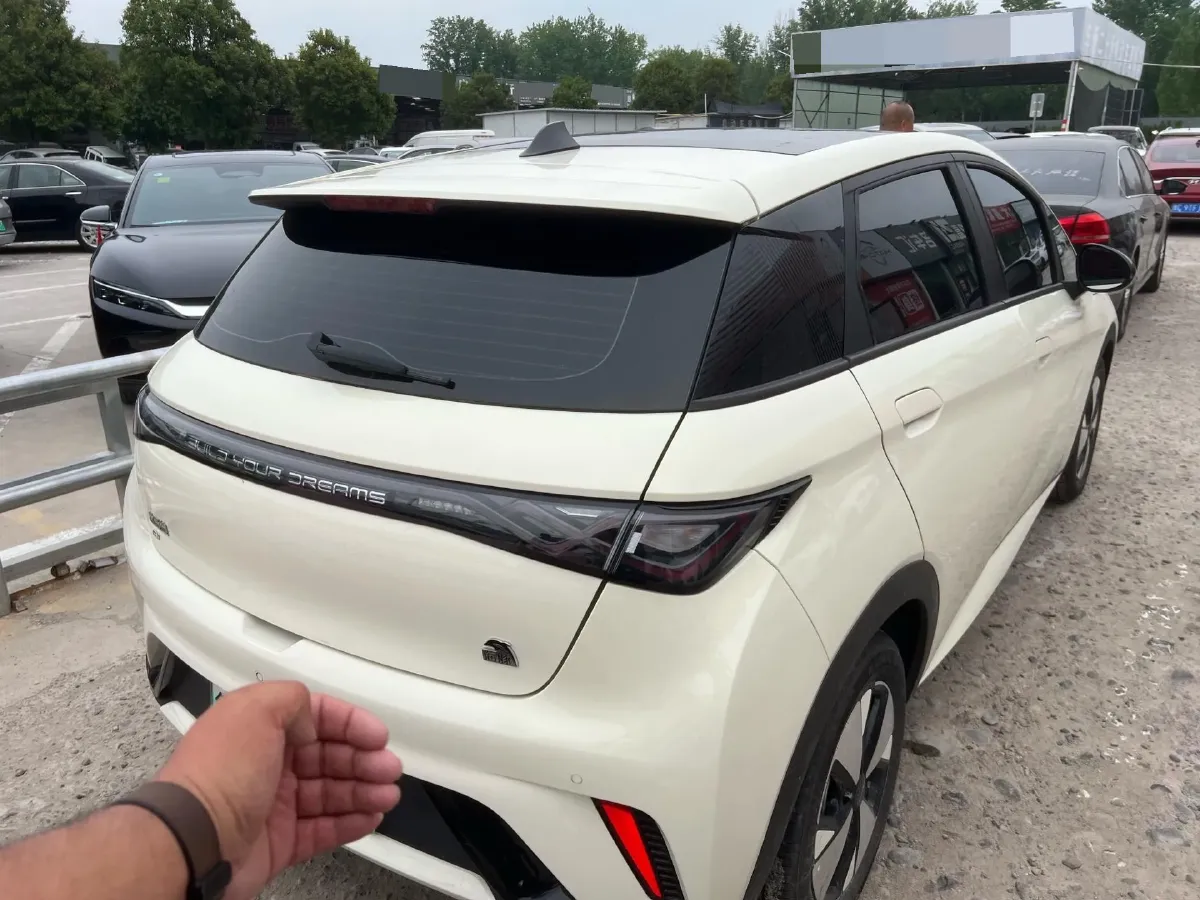 2023 BYD Dolphin BEV 44.928KWH,autocango,china used car exporter,china ev exporter,chinese used car exporter,chinese used ev exporter