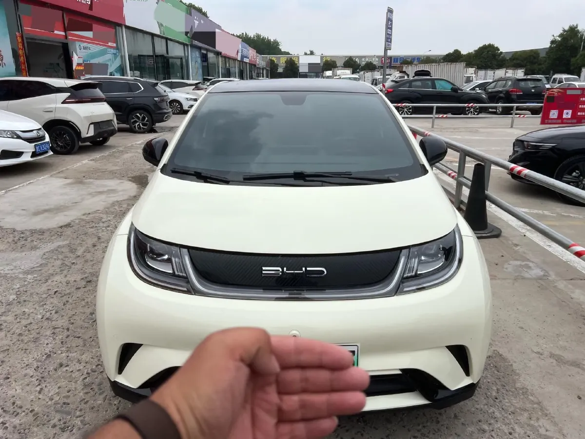 2023 BYD Dolphin BEV 44.928KWH,autocango,china used car exporter,china ev exporter,chinese used car exporter,chinese used ev exporter