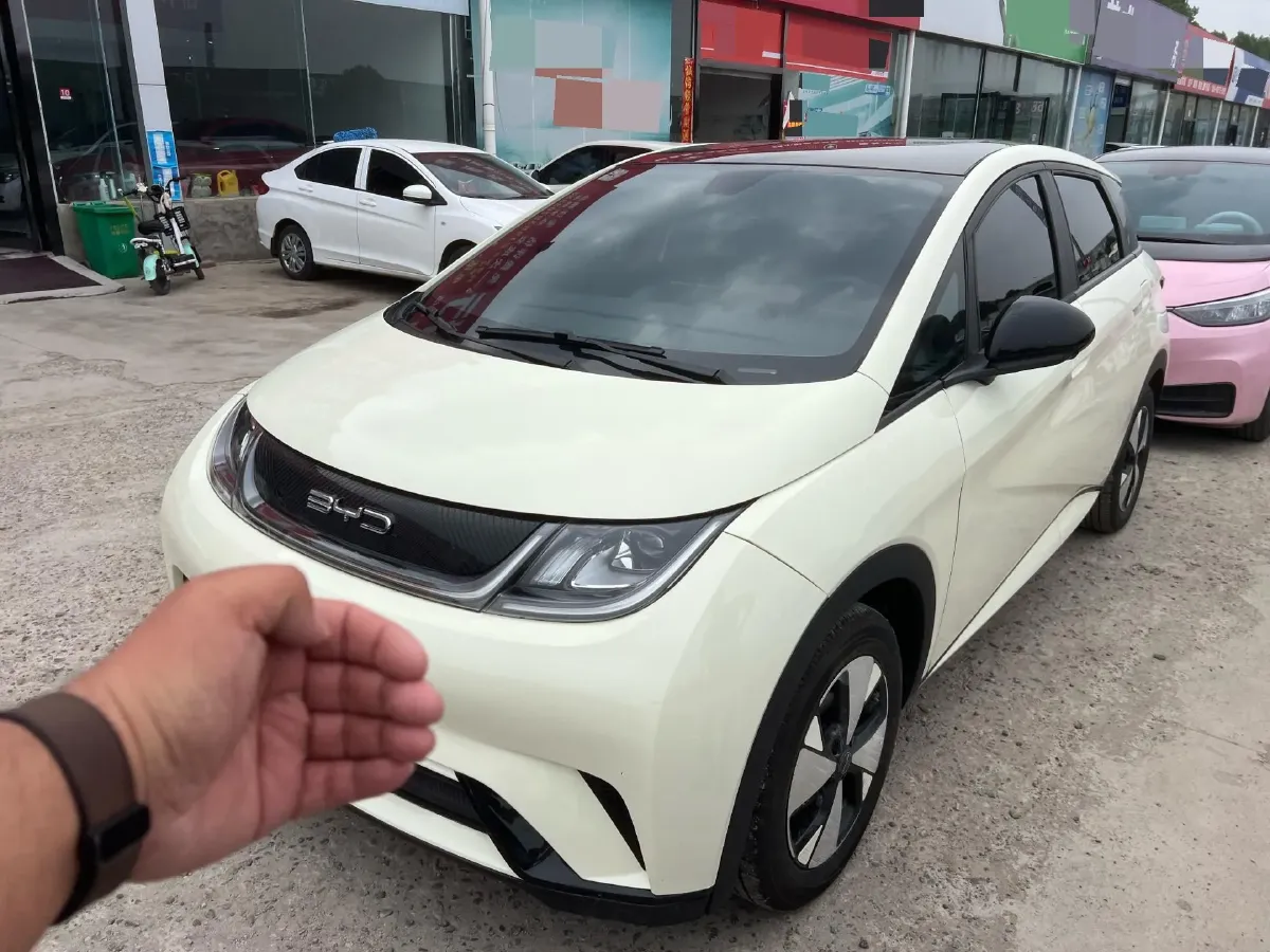 2023 BYD Dolphin BEV 44.928KWH,autocango,china used car exporter,china ev exporter,chinese used car exporter,chinese used ev exporter