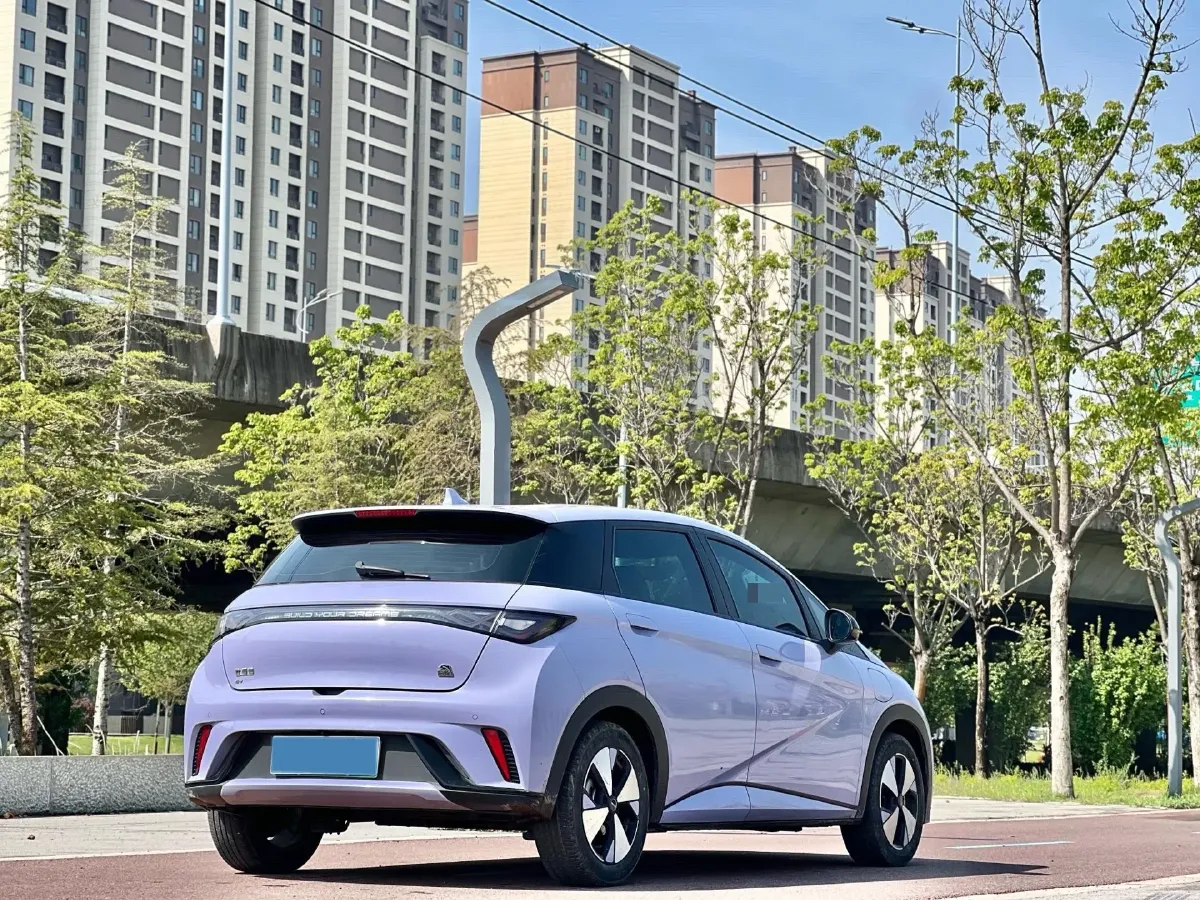 2023 BYD Dolphin BEV 44.928KWH,autocango,china used car exporter,china ev exporter,chinese used car exporter,chinese used ev exporter