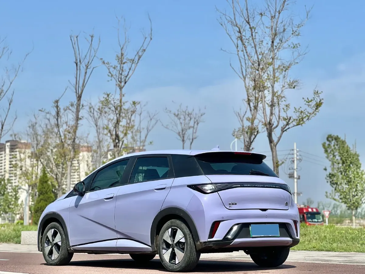 2023 BYD Dolphin BEV 44.928KWH,autocango,china used car exporter,china ev exporter,chinese used car exporter,chinese used ev exporter