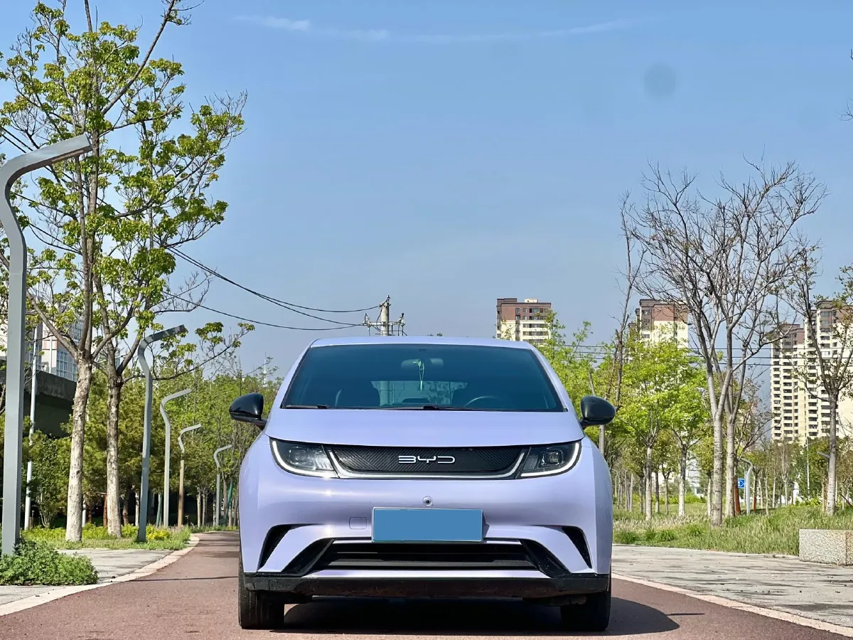 2023 BYD Dolphin BEV 44.928KWH,autocango,china used car exporter,china ev exporter,chinese used car exporter,chinese used ev exporter