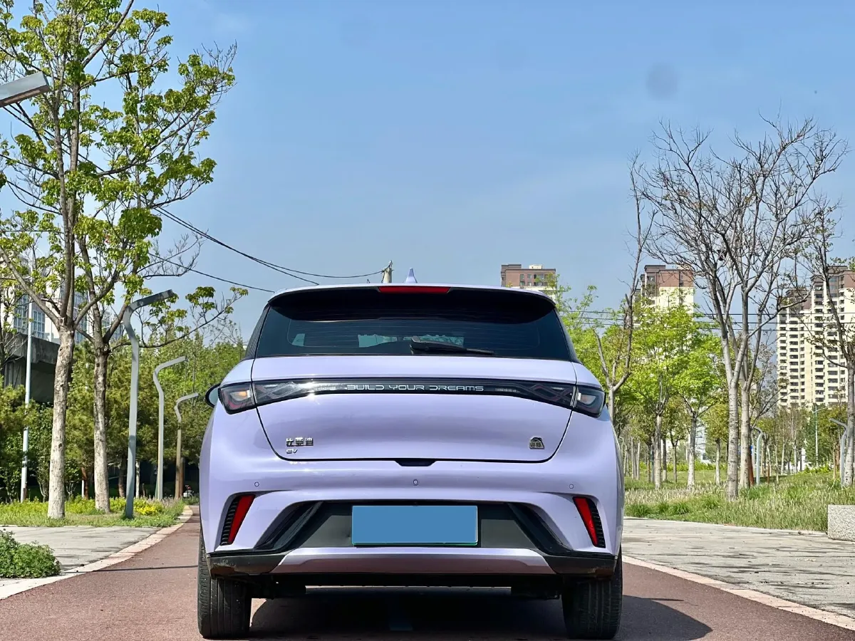 2023 BYD Dolphin BEV 44.928KWH,autocango,china used car exporter,china ev exporter,chinese used car exporter,chinese used ev exporter