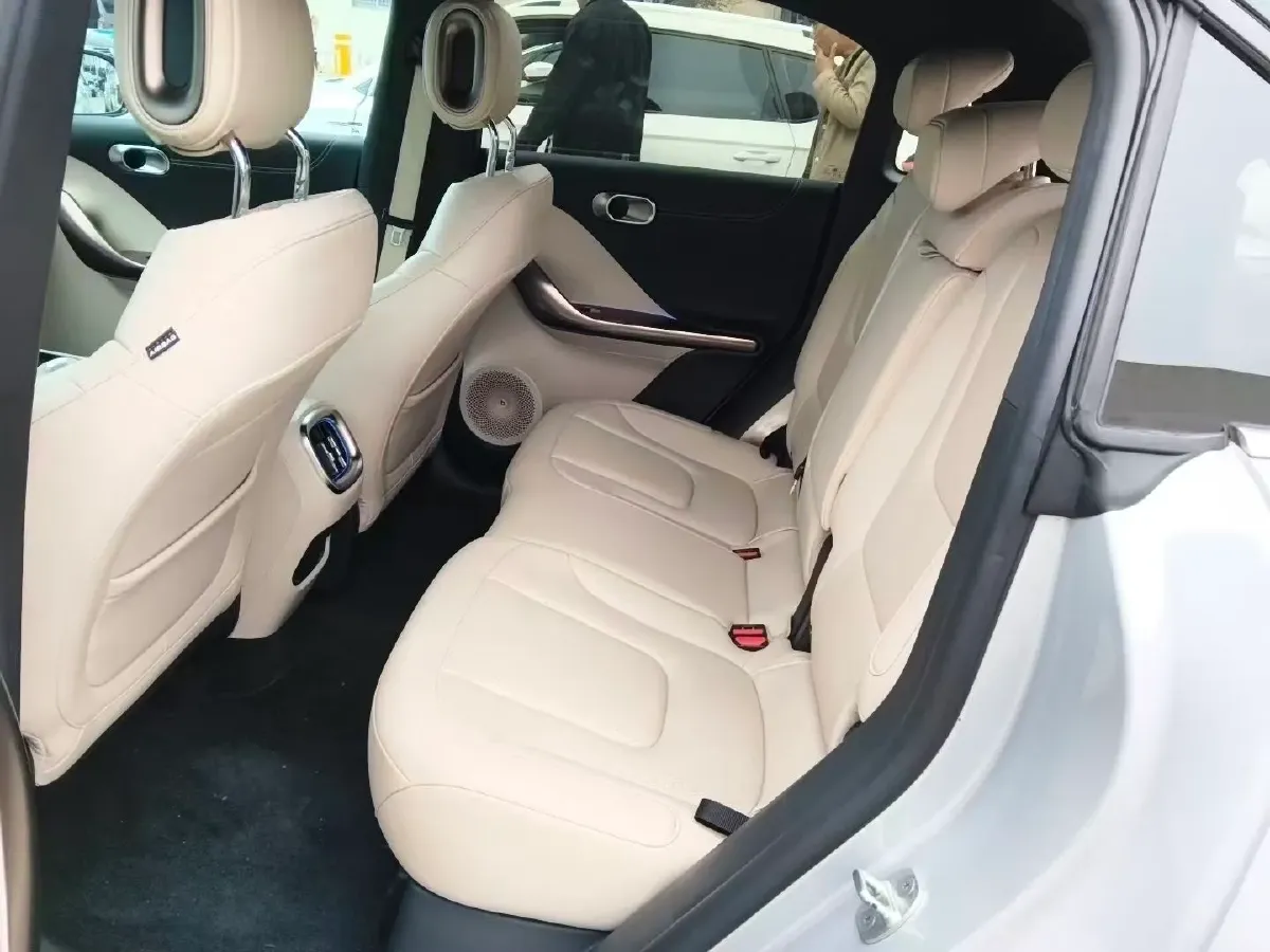 2022 Smart smart Elf 1 BEV 66KWH,autocango,china used car exporter,china ev exporter,chinese used car exporter,chinese used ev exporter