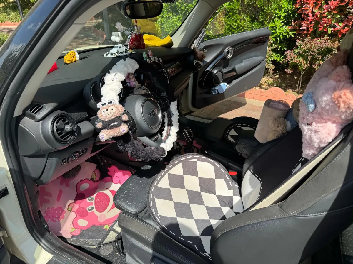 2019 MINI MINI 2.0T 192HP L4 7DCT,autocango,china used car exporter,china ev exporter,chinese used car exporter,chinese used ev exporter