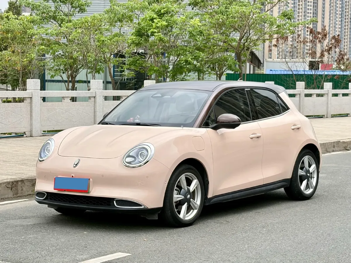 2021 Ora FunkyCat BEV 45.99KWH,autocango,china used car exporter,china ev exporter,chinese used car exporter,chinese used ev exporter