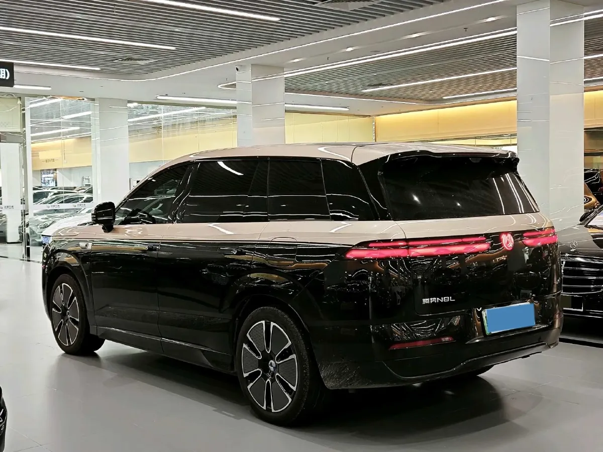 2025 Denza DenzaN8L 2.0T 207HP L4 E-CVT PHEV,autocango,china used car exporter,china ev exporter,chinese used car exporter,chinese used ev exporter