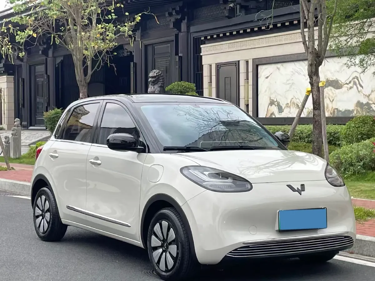 2024 WuLing BinGuo BEV 31.9KWH,autocango,china used car exporter,china ev exporter,chinese used car exporter,chinese used ev exporter