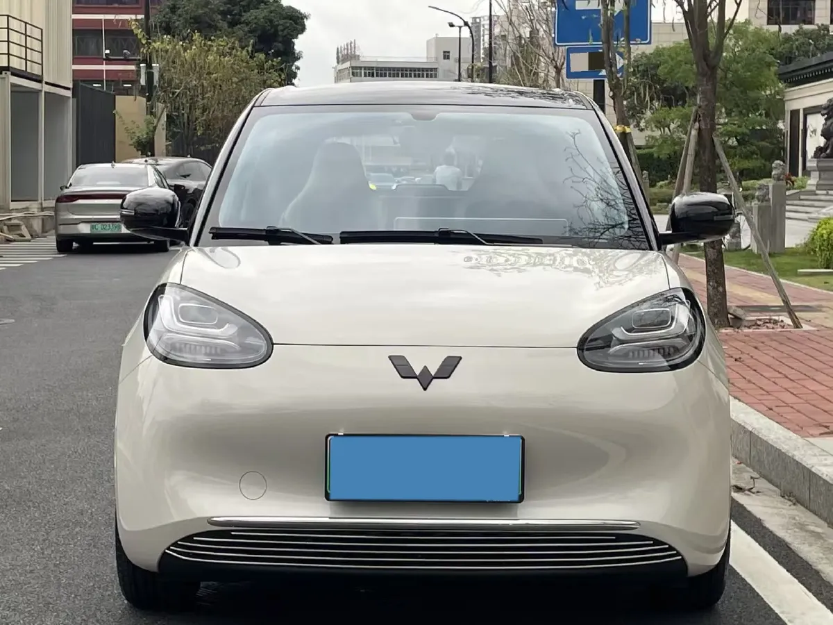 2024 WuLing BinGuo BEV 31.9KWH,autocango,china used car exporter,china ev exporter,chinese used car exporter,chinese used ev exporter