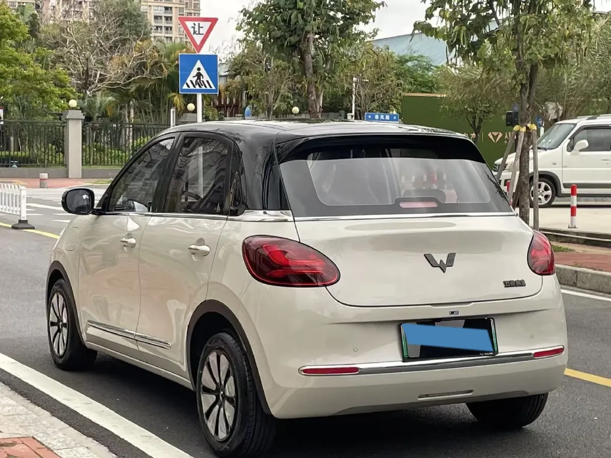 2024 WuLing BinGuo BEV 31.9KWH,autocango,china used car exporter,china ev exporter,chinese used car exporter,chinese used ev exporter