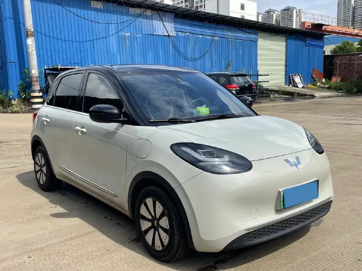 2024 WuLing BinGuo BEV 31.9KWH,autocango,china used car exporter,china ev exporter,chinese used car exporter,chinese used ev exporter