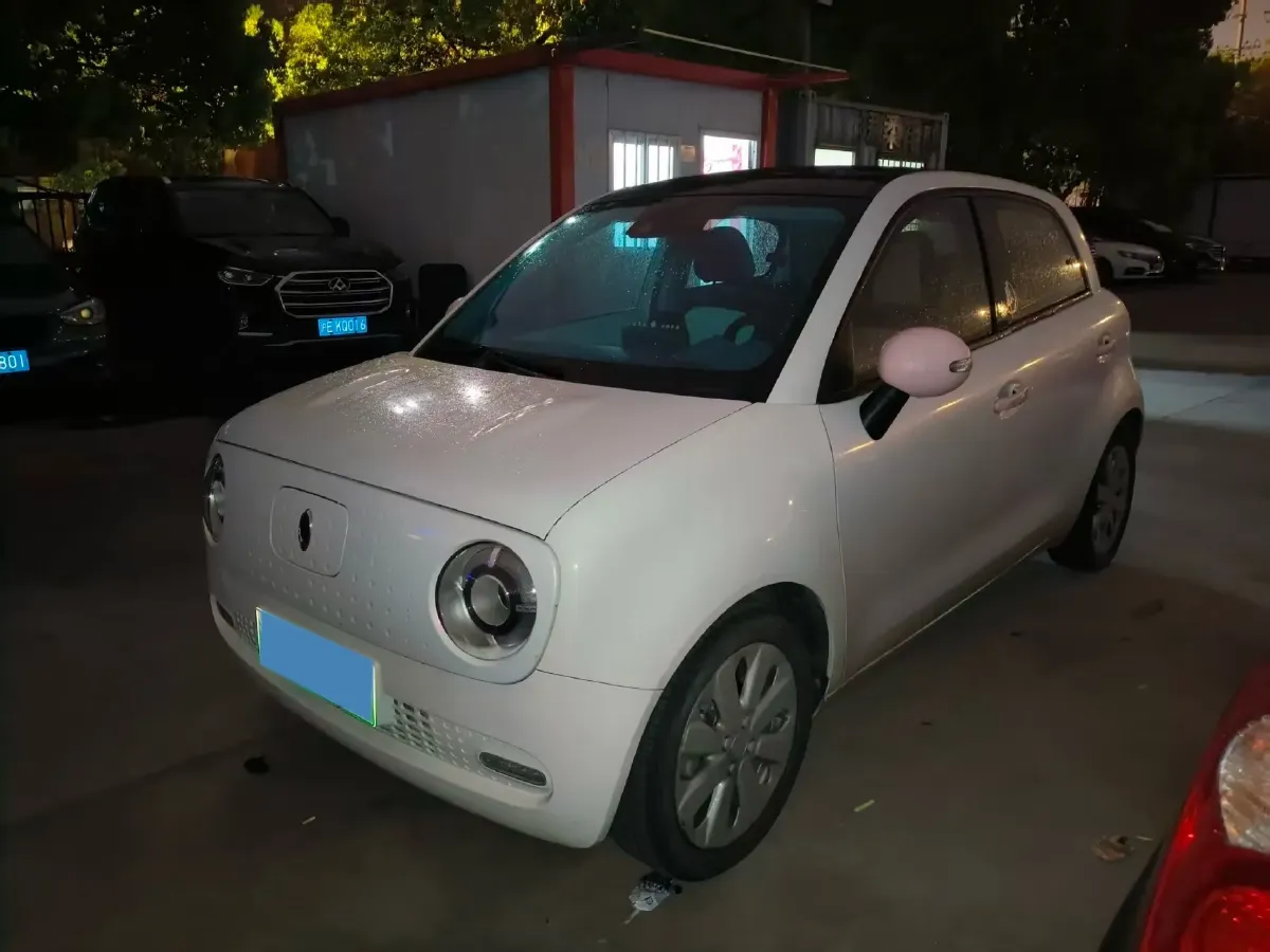 2019 Ora BlackCat BEV 33KWH,autocango,china used car exporter,china ev exporter,chinese used car exporter,chinese used ev exporter