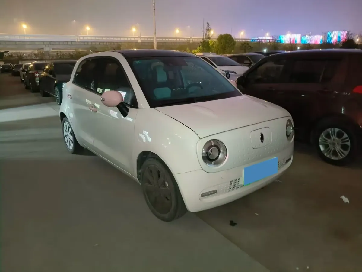 2019 Ora BlackCat BEV 33KWH,autocango,china used car exporter,china ev exporter,chinese used car exporter,chinese used ev exporter