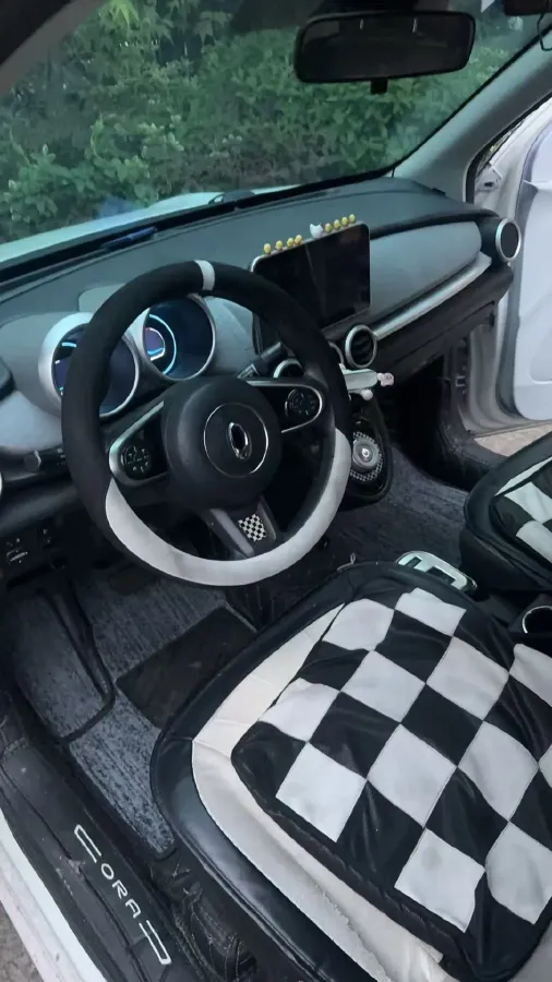 2019 Ora BlackCat BEV 33KWH,autocango,china used car exporter,china ev exporter,chinese used car exporter,chinese used ev exporter