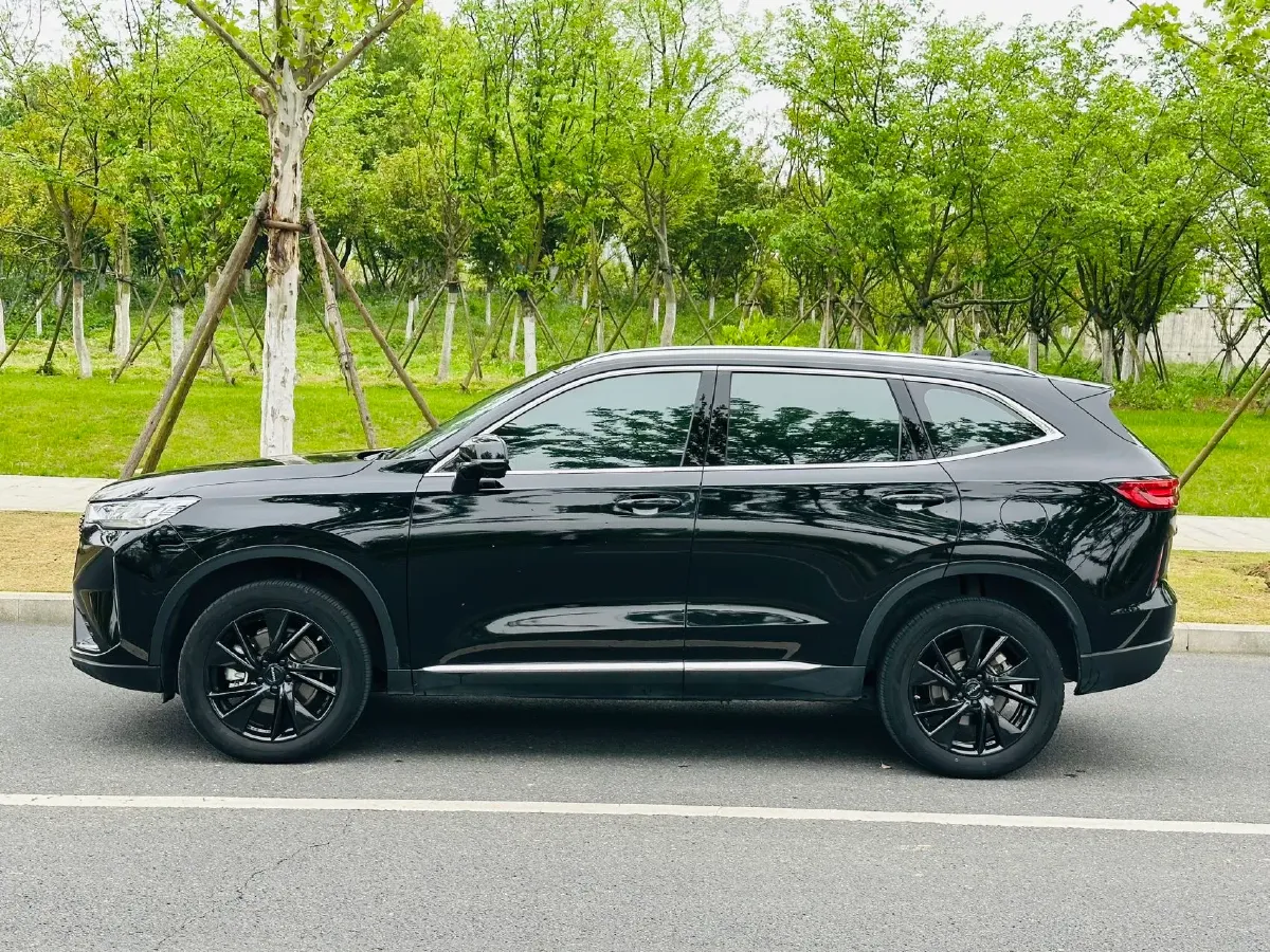 2021 Haval H6 2.0T 211HP L4 7DCT,autocango,china used car exporter,china ev exporter,chinese used car exporter,chinese used ev exporter
