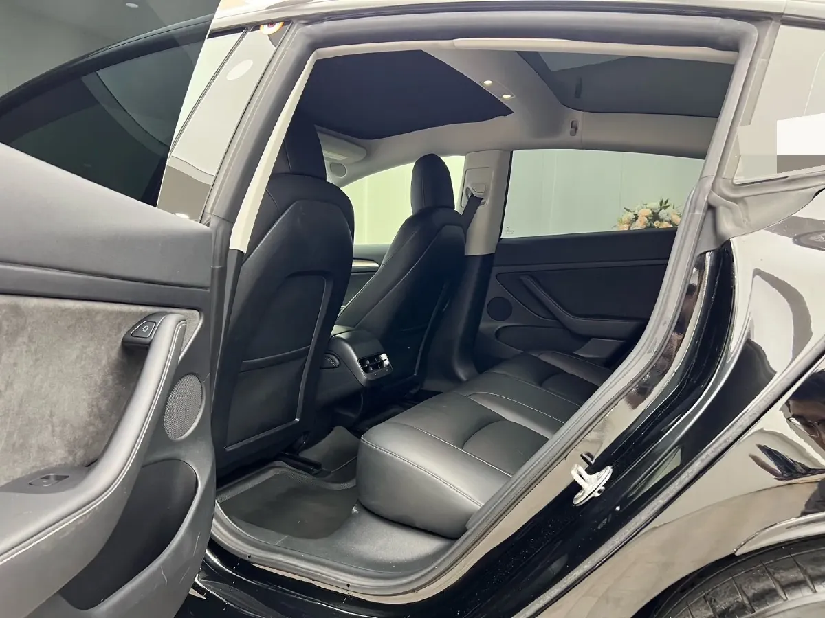 2021 Tesla Model 3 BEV 55KWH,autocango,china used car exporter,china ev exporter,chinese used car exporter,chinese used ev exporter