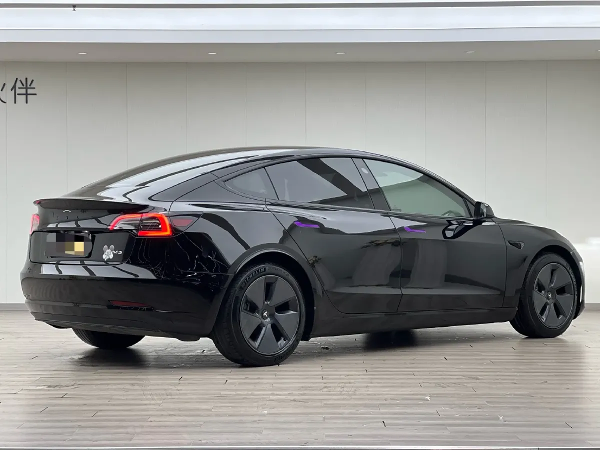 2021 Tesla Model 3 BEV 55KWH,autocango,china used car exporter,china ev exporter,chinese used car exporter,chinese used ev exporter