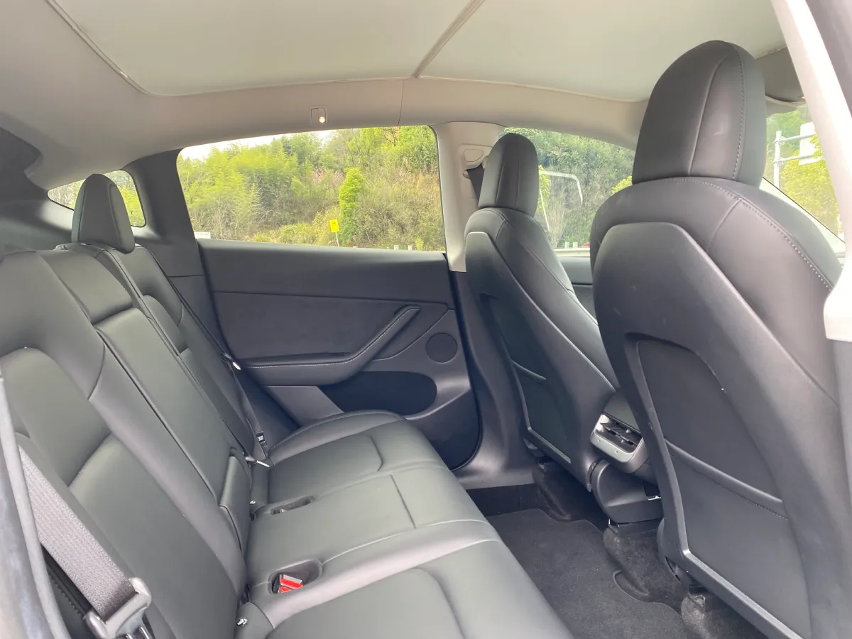 2021 Tesla Model 3 BEV 76.8KWH,autocango,china used car exporter,china ev exporter,chinese used car exporter,chinese used ev exporter