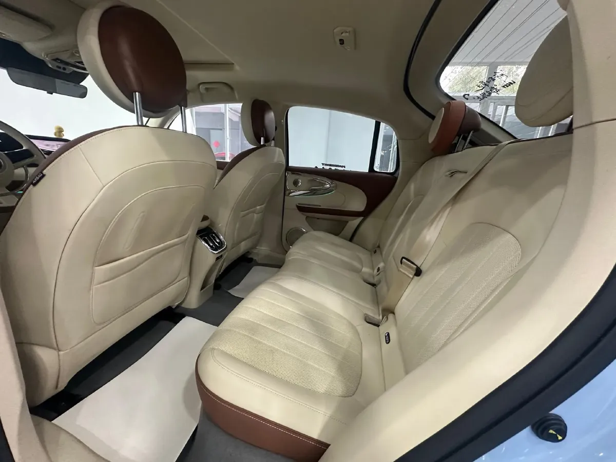 2022 Ora BalletCat BEV 49.92KWH,autocango,china used car exporter,china ev exporter,chinese used car exporter,chinese used ev exporter