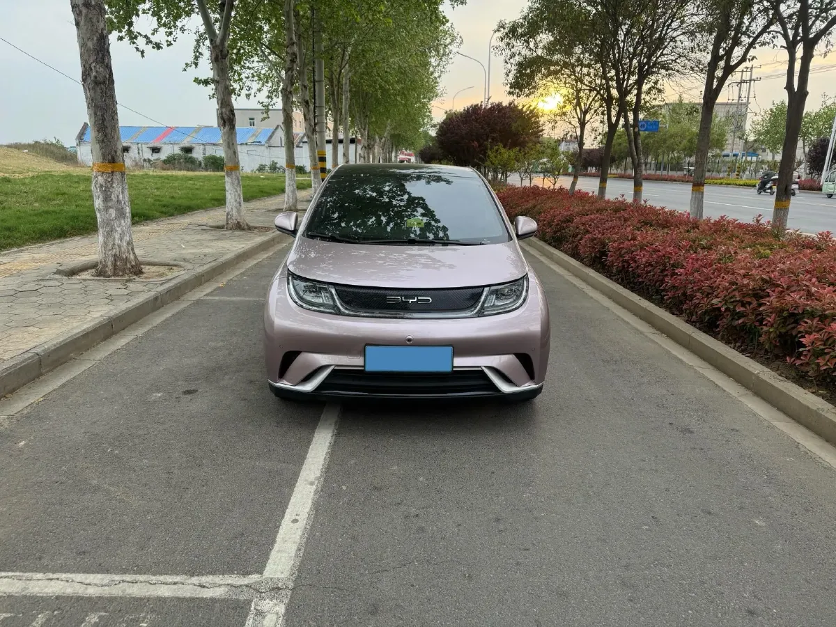 2023 BYD Dolphin BEV 44.928KWH,autocango,china used car exporter,china ev exporter,chinese used car exporter,chinese used ev exporter