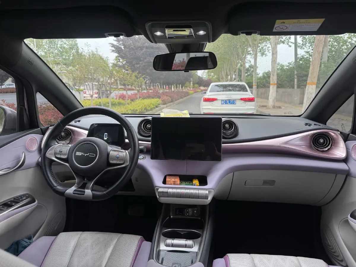 2023 BYD Dolphin BEV 44.928KWH,autocango,china used car exporter,china ev exporter,chinese used car exporter,chinese used ev exporter