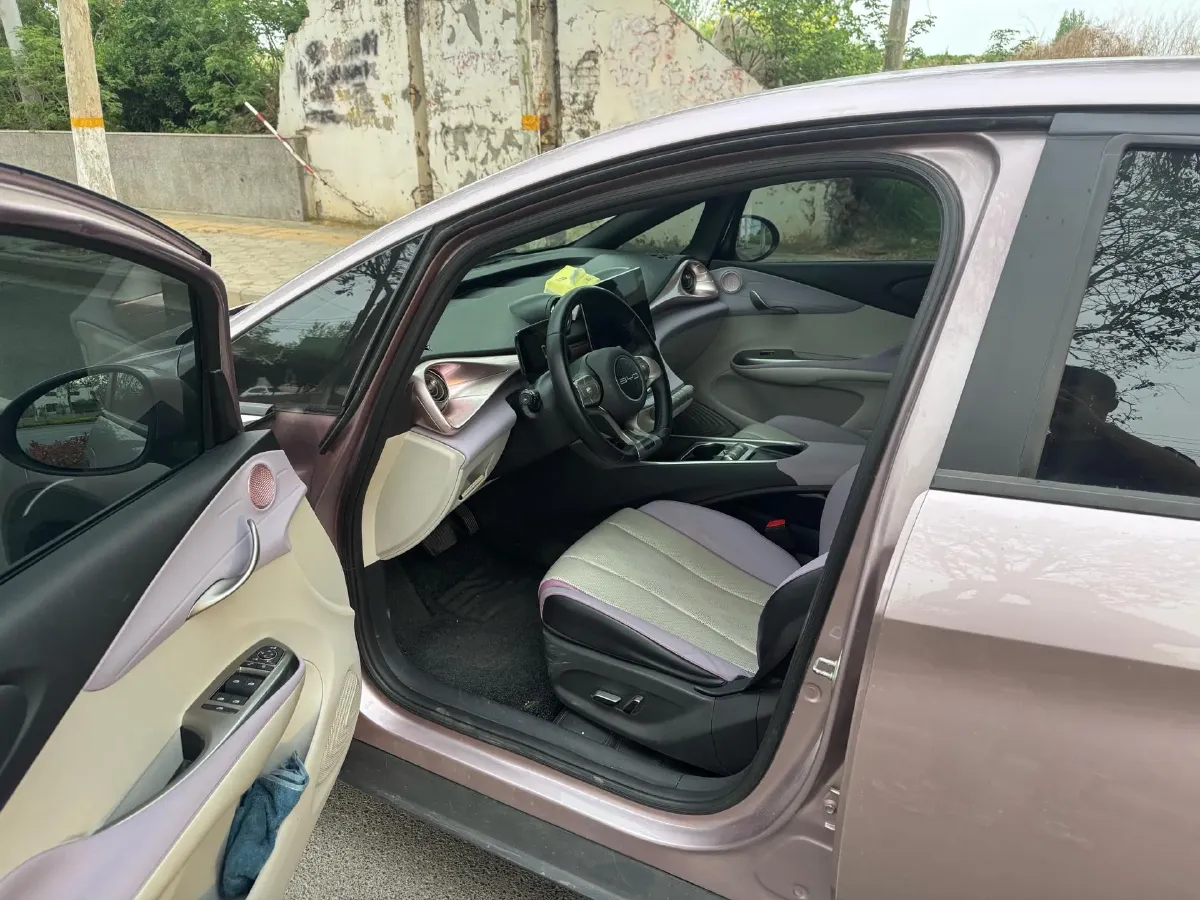 2023 BYD Dolphin BEV 44.928KWH,autocango,china used car exporter,china ev exporter,chinese used car exporter,chinese used ev exporter