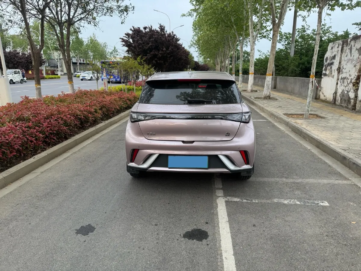 2023 BYD Dolphin BEV 44.928KWH,autocango,china used car exporter,china ev exporter,chinese used car exporter,chinese used ev exporter