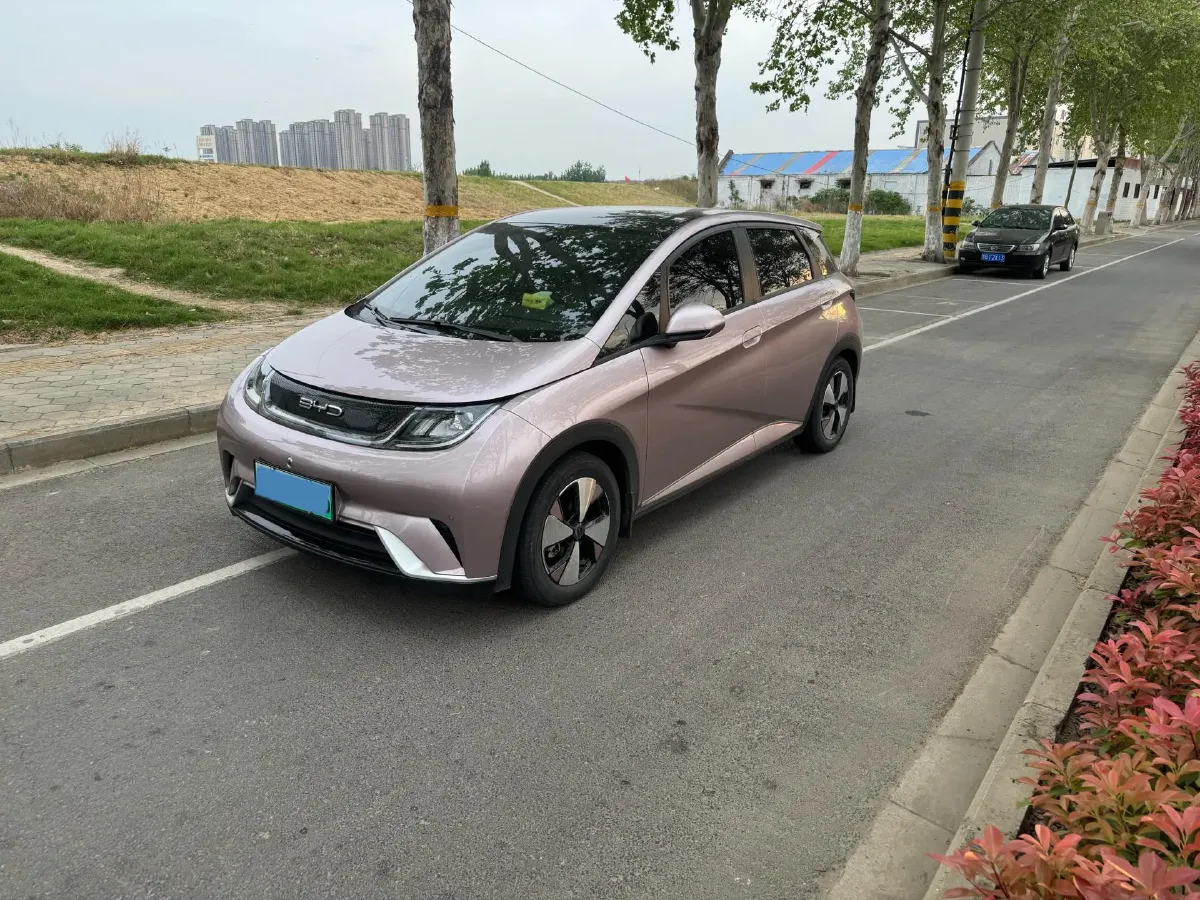 2023 BYD Dolphin BEV 44.928KWH,autocango,china used car exporter,china ev exporter,chinese used car exporter,chinese used ev exporter