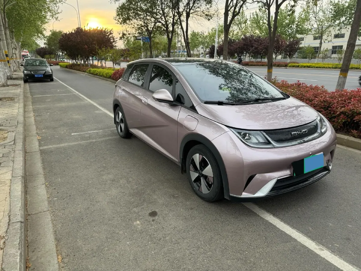 2023 BYD Dolphin BEV 44.928KWH,autocango,china used car exporter,china ev exporter,chinese used car exporter,chinese used ev exporter