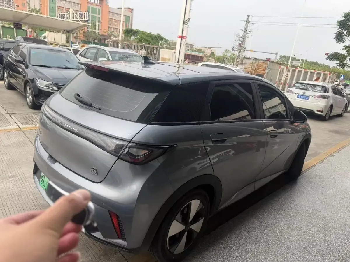 2023 BYD Dolphin BEV 44.928KWH,autocango,china used car exporter,china ev exporter,chinese used car exporter,chinese used ev exporter