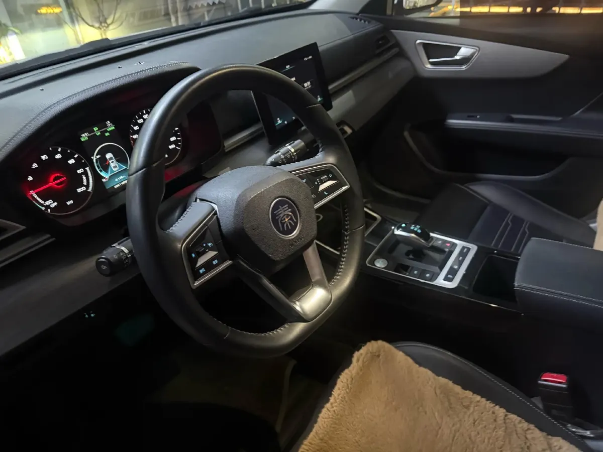 2019 BYD Qin BEV 53.1KWH,autocango,china used car exporter,china ev exporter,chinese used car exporter,chinese used ev exporter