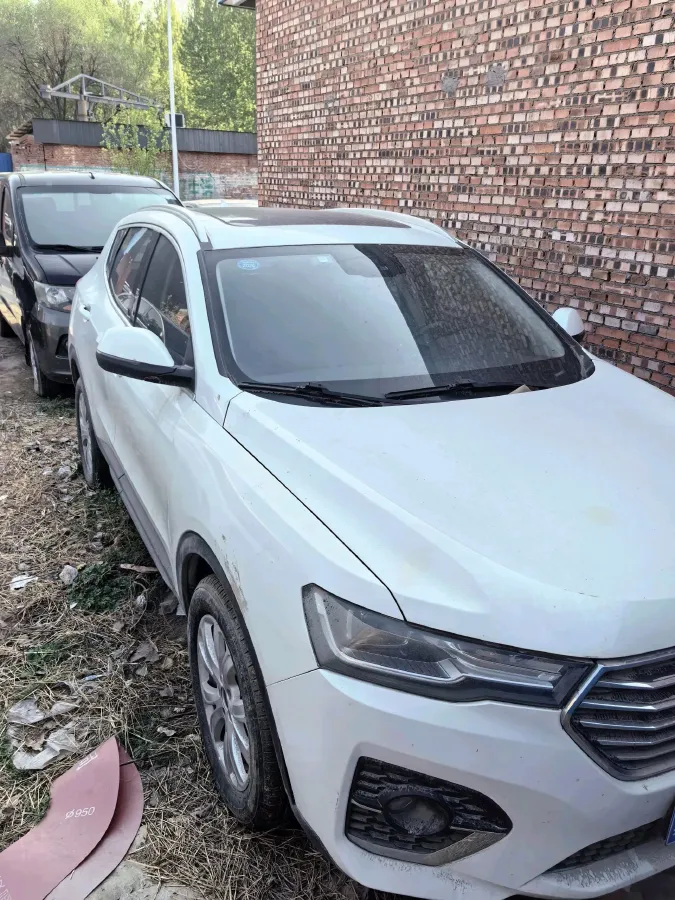 2019 Haval H4 1.5T 169HP L4 7DCT,autocango,china used car exporter,china ev exporter,chinese used car exporter,chinese used ev exporter