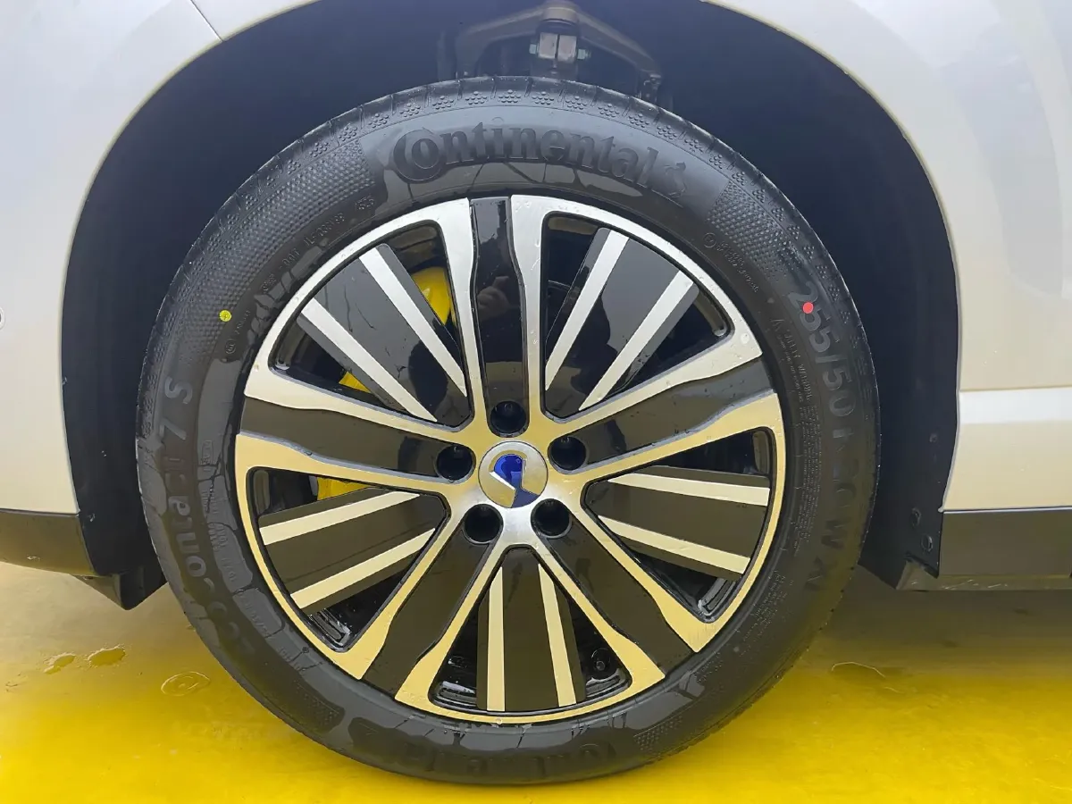 2025 Denza DenzaN8L 2.0T 207HP L4 E-CVT PHEV,autocango,china used car exporter,china ev exporter,chinese used car exporter,chinese used ev exporter