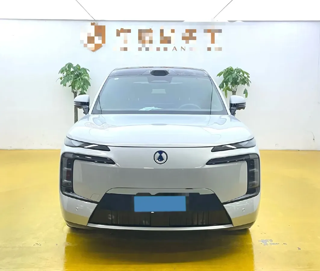 2025 Denza DenzaN8L 2.0T 207HP L4 E-CVT PHEV,autocango,china used car exporter,china ev exporter,chinese used car exporter,chinese used ev exporter