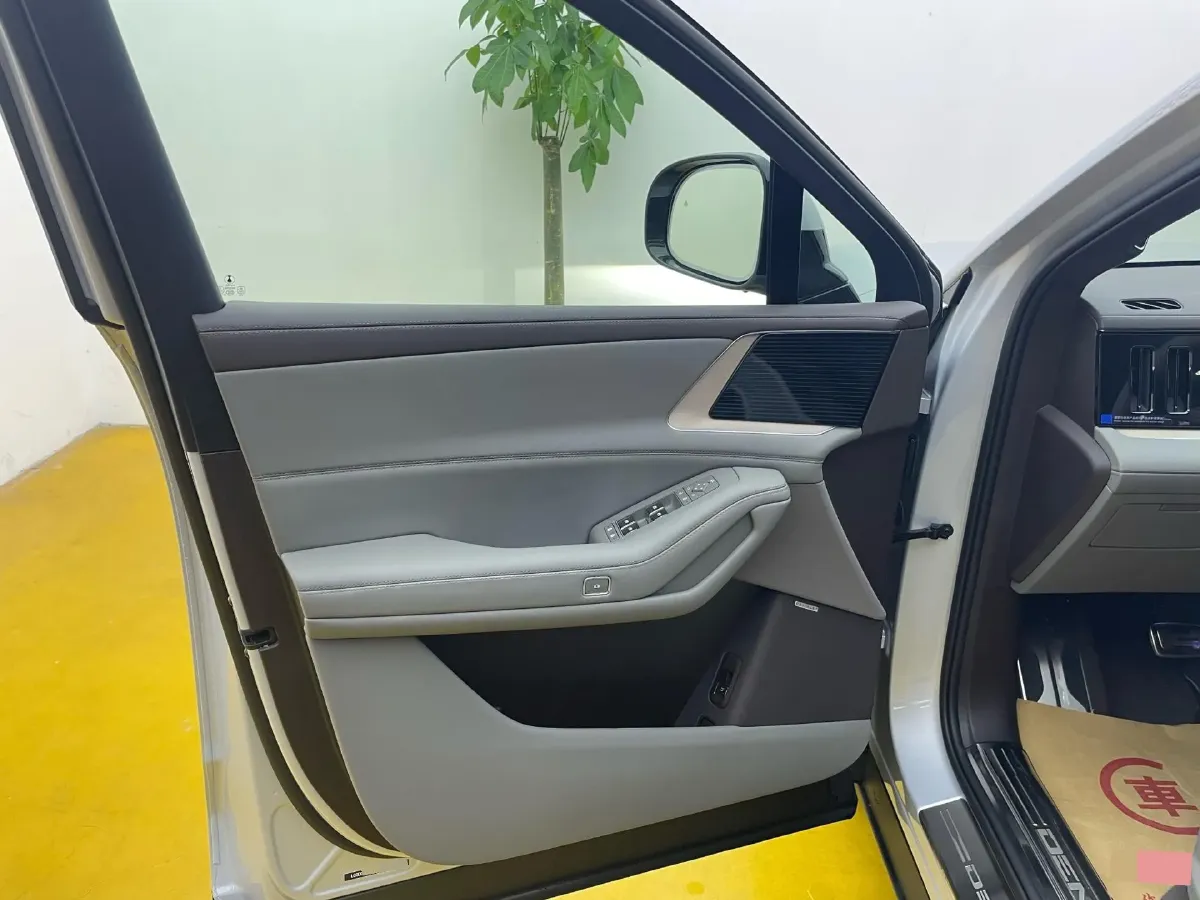 2025 Denza DenzaN8L 2.0T 207HP L4 E-CVT PHEV,autocango,china used car exporter,china ev exporter,chinese used car exporter,chinese used ev exporter