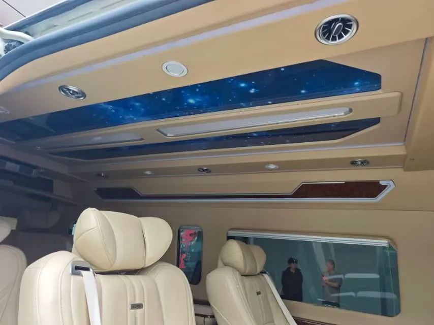 2019 Golden Dragon Sea Lion BEV 51.67KWH,autocango,china used car exporter,china ev exporter,chinese used car exporter,chinese used ev exporter