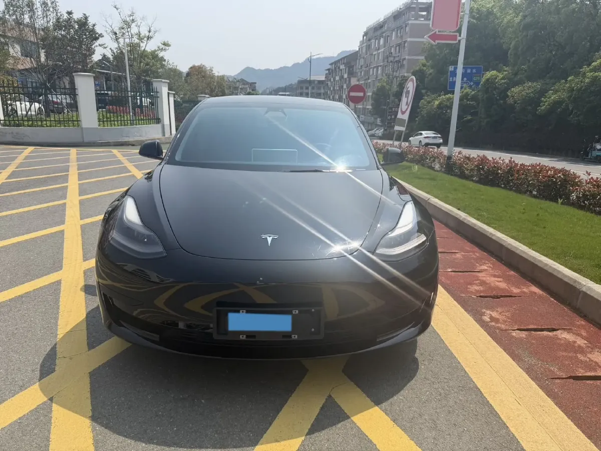 2021 Tesla Model 3 BEV 55KWH,autocango,china used car exporter,china ev exporter,chinese used car exporter,chinese used ev exporter