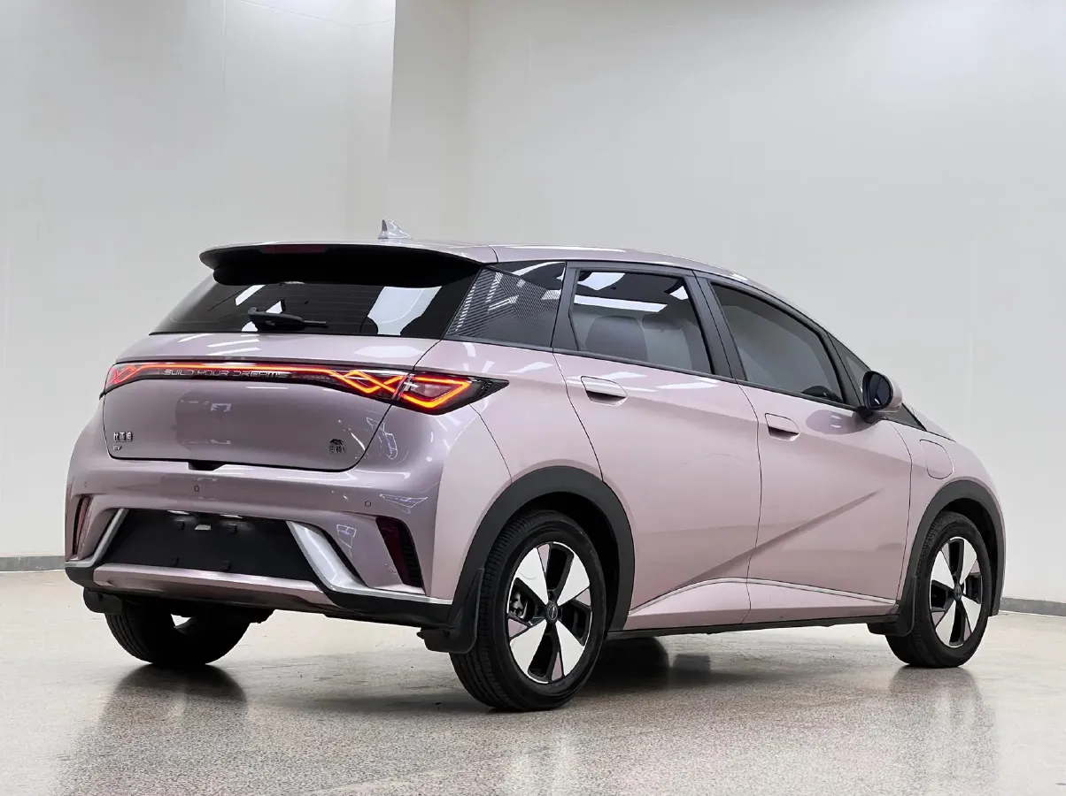 2021 BYD Yuan Pro BEV 50.1KWH,autocango,china used car exporter,china ev exporter,chinese used car exporter,chinese used ev exporter