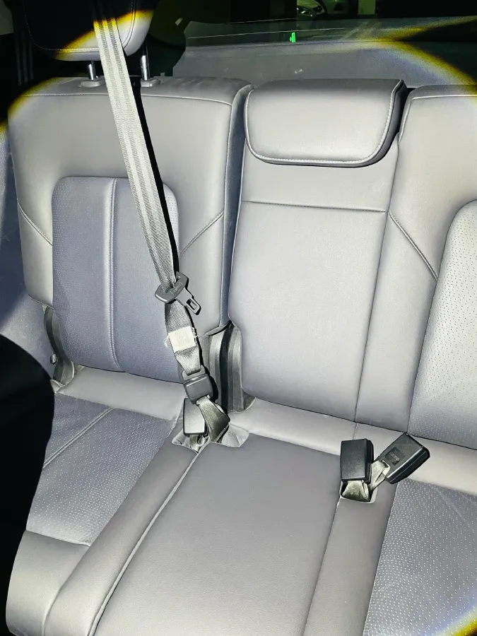 2021 GAC Trumpchi M8 2.0T 252HP L4 8AT,autocango,china used car exporter,china ev exporter,chinese used car exporter,chinese used ev exporter