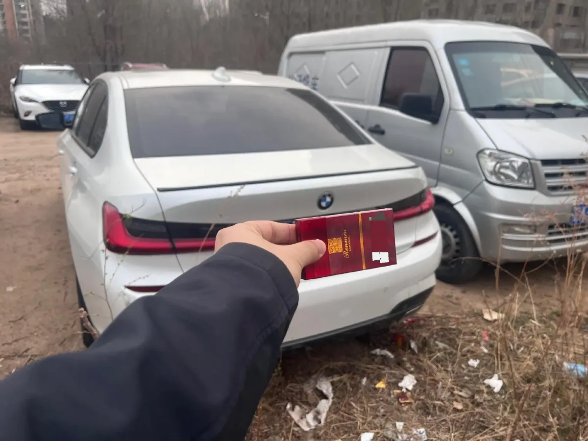 2021 BMW 3 Series 2.0T 156HP L4 8AT,autocango,china used car exporter,china ev exporter,chinese used car exporter,chinese used ev exporter