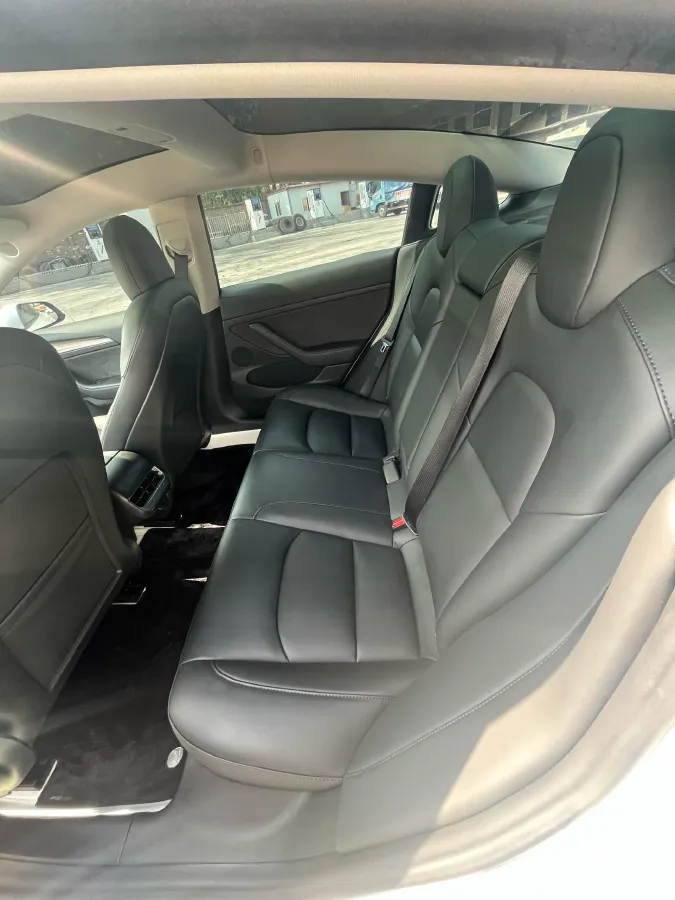 2021 Tesla Model 3 BEV 55KWH,autocango,china used car exporter,china ev exporter,chinese used car exporter,chinese used ev exporter