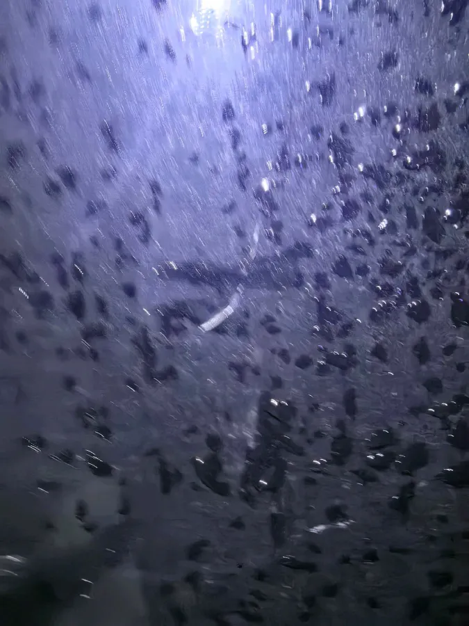 2020 Volkswagen Passat 2.0T 186HP L4 7DCT,autocango,china used car exporter,china ev exporter,chinese used car exporter,chinese used ev exporter