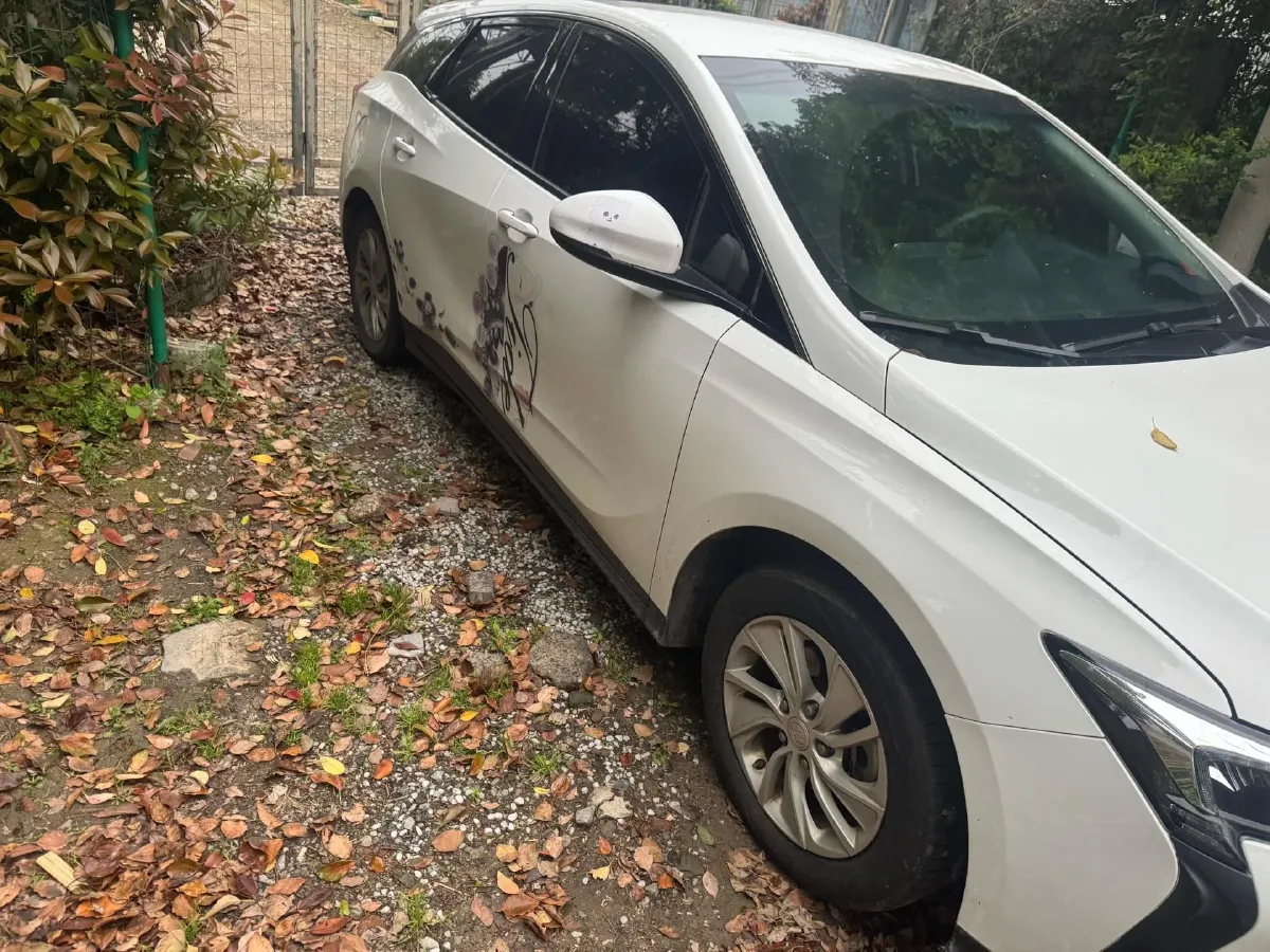 2020 Xpeng G3 BEV 57.5KWH,autocango,china used car exporter,china ev exporter,chinese used car exporter,chinese used ev exporter